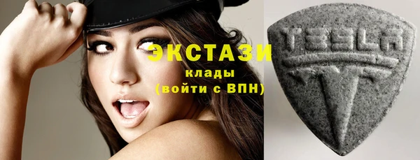 сатива Аркадак