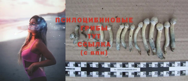 MESCALINE Арсеньев