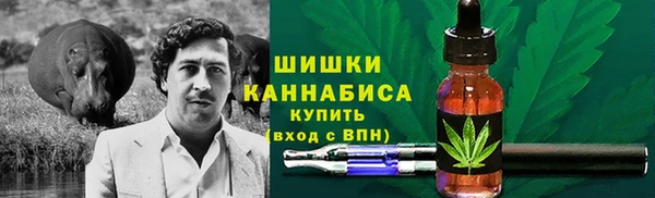 сатива Аркадак