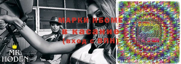 сатива Аркадак