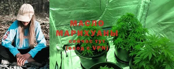 сатива Аркадак