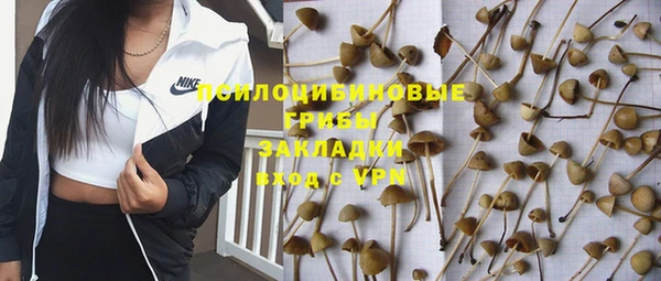 сатива Аркадак