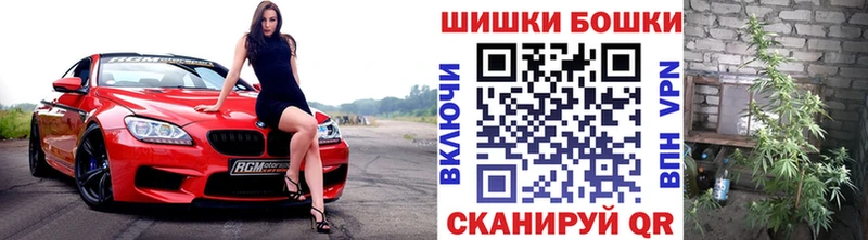 где можно купить   Волгоград  Бошки марихуана индика 